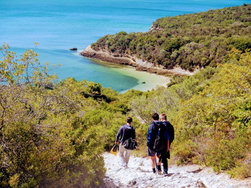 Lisbon: Arrábida Snorkeling Adventure - Key points to know before you book