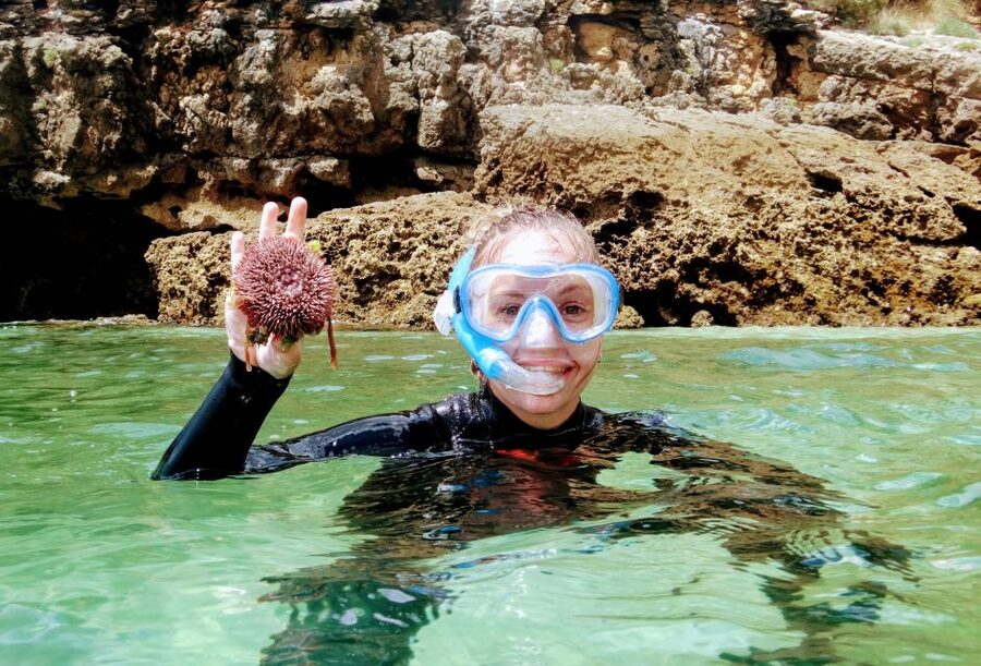 Lisbon: Arrábida Snorkeling Adventure - The snorkeling session in calm blue water