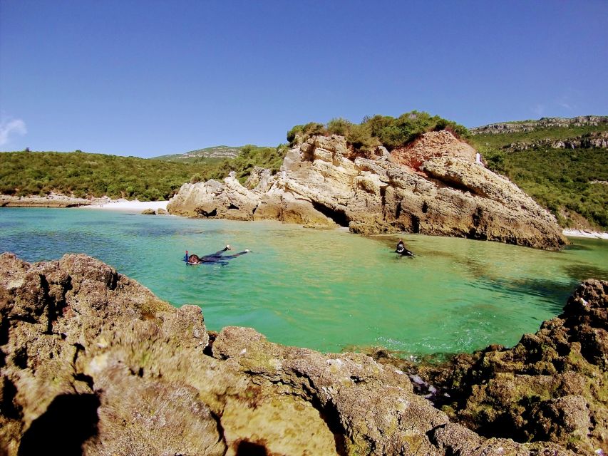 Lisbon: Arrábida Snorkeling Adventure - When the sea changes the plan