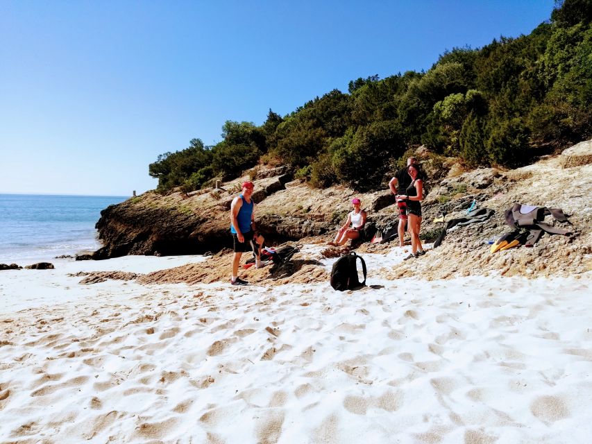 Lisbon: Arrábida Snorkeling Adventure - Why Arrábida feels different from a standard beach trip