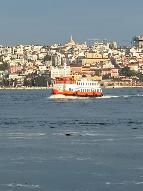Lisbon: Belem, Jeronimos Monastery, and Coach Museum Tour - The guides make the biggest difference