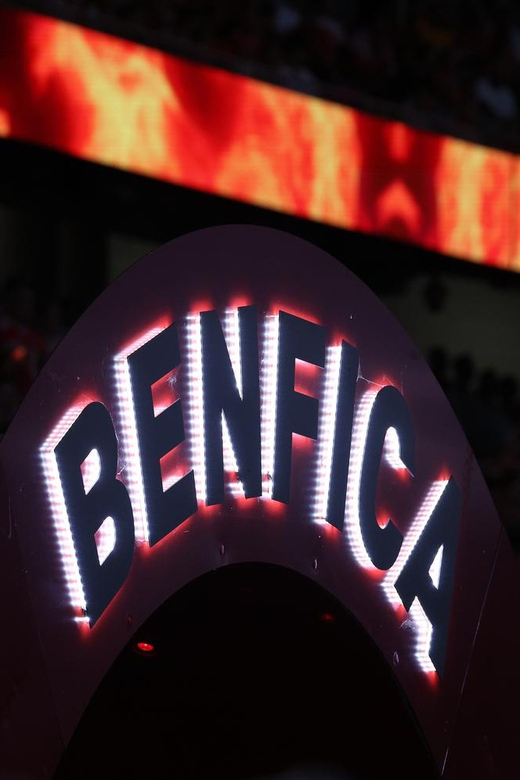 Lisbon: Benfica Luz Stadium Tour with Souvenir Scarf - The Eagle Hall and Benfica’s living symbol