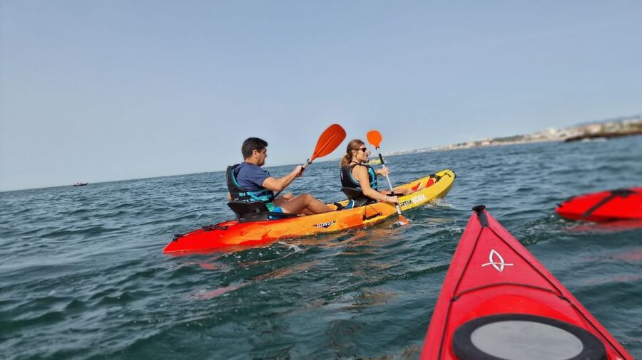 Lisbon: Coast Guided Kayak Tour - Who should book this Lisbon kayak tour?
