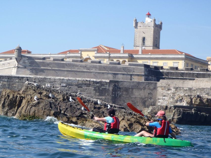 Lisbon: Coast Guided Kayak Tour - Your first lesson: paddle, steer, and stay comfortable