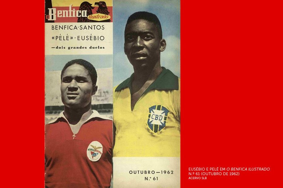 Lisbon: Customized Luz Stadium and Guided Museum Tour - Why the personalized guide matters