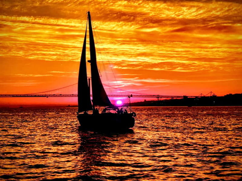 Lisbon: Daytime or Sunset Boat Cruise with History and Wine - Chiado, Time Out Market, and the city at evening