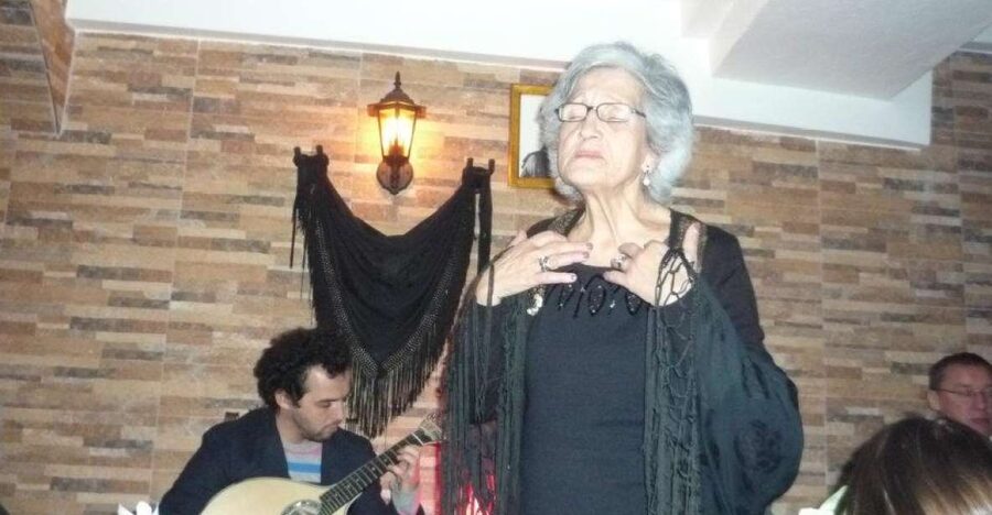 Lisbon Dinner with Fado Show and Sights by Night - What the small van changes