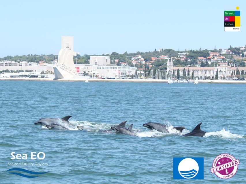 Lisbon: Dolphin Watching with Marine Biologist - Who will enjoy this tour most