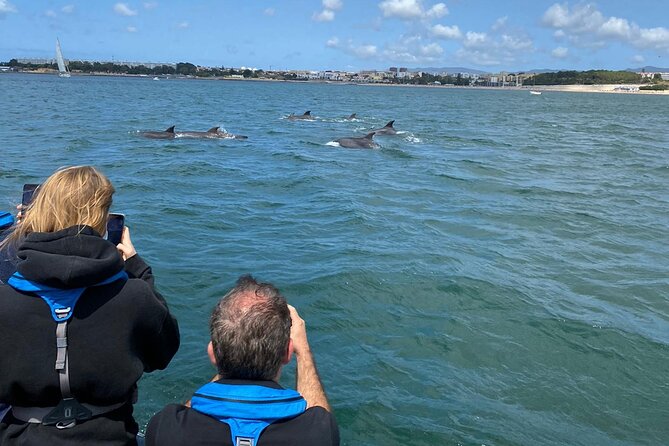 Lisbon: Dolphin Watching with Marine Biologist - Small Group - Starting Beneath the 25 de Abril Bridge