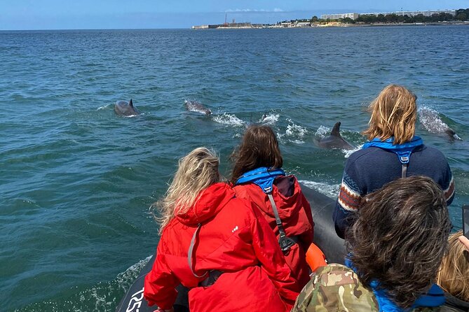 Lisbon: Dolphin Watching with Marine Biologist - Small Group - Is $61 a Fair Price?