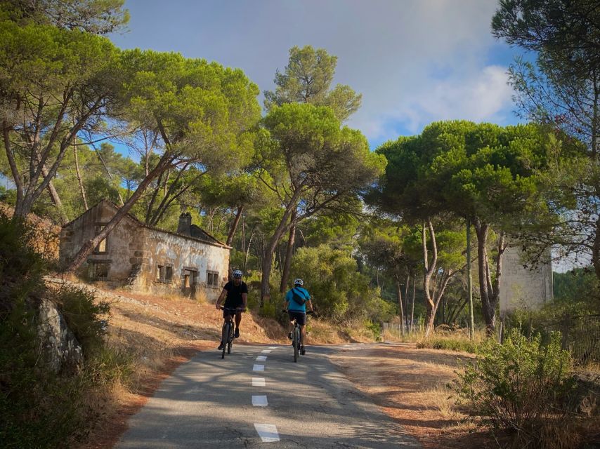 Lisbon: E-bike Trip from the Sintra Mountains to Cascais Sea - Key details that shape the ride