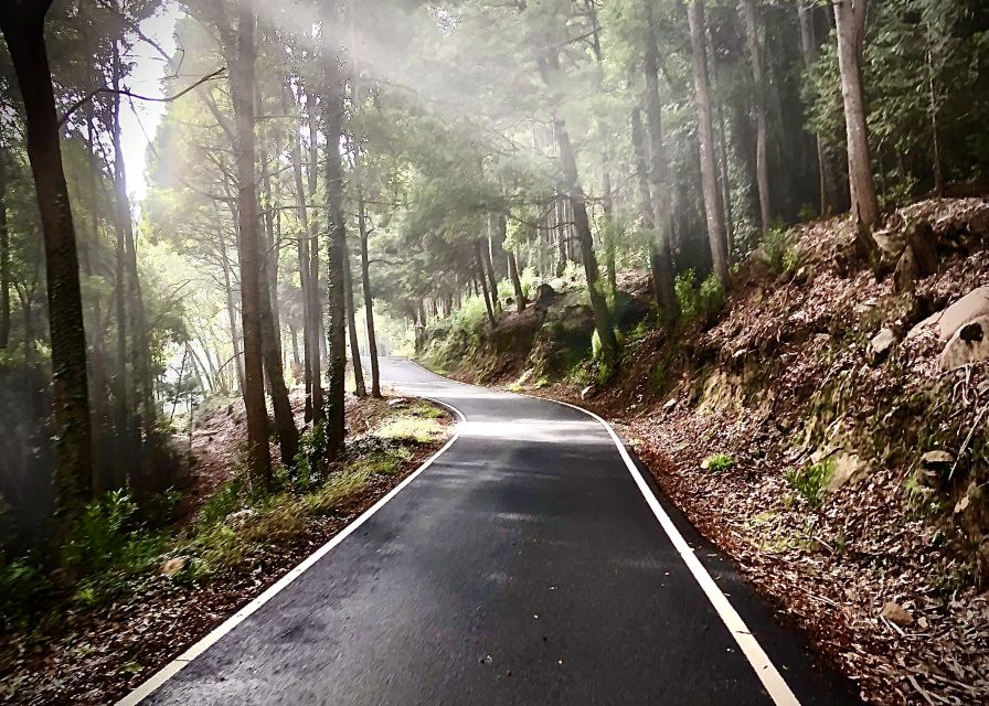 Lisbon: E-bike Trip from the Sintra Mountains to Cascais Sea - Down to Guincho Beach for lunch