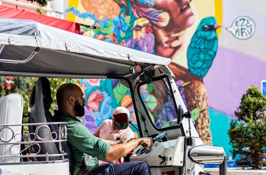 Lisbon: Half-Day Private Guided Tuk-Tuk Tour - Chiado, Carmo, and Bairro Alto from street level