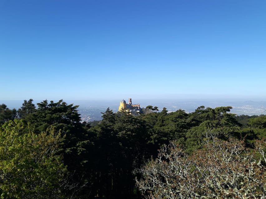 Lisbon: Half-Day Sintra Tour with Pena Palace and Regaleira - The guide can make or break the pace