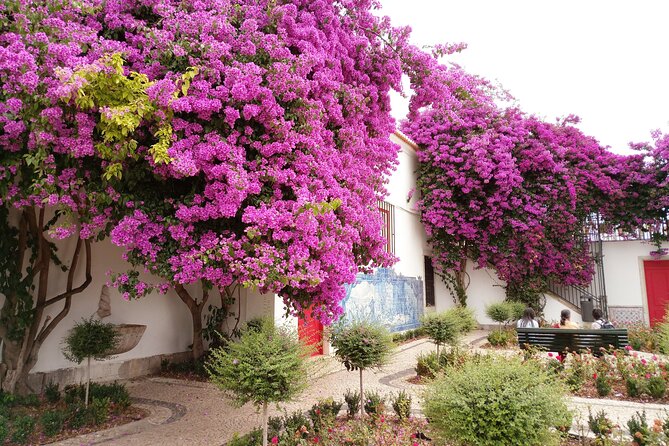 Lisbon Highlights - Private Tour with Van and Local Guide - A short stroll through Chiado