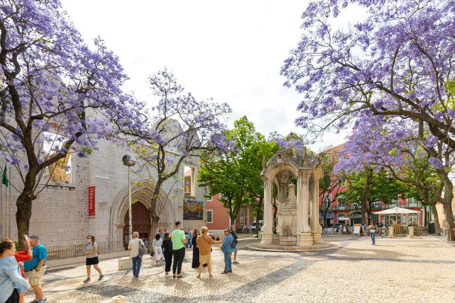 Lisbon: History, Stories and Lifestyle Walking Tour - The tram ride and the climb toward Portas do Sol