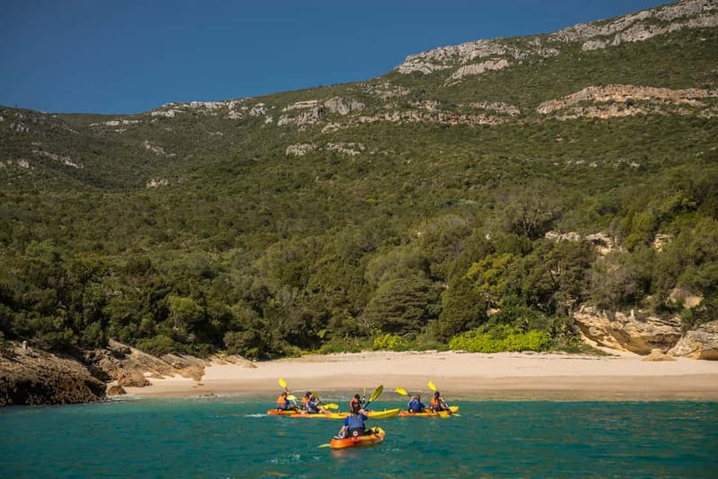 Lisbon: Kayak Tour Arrábida Natural Park, Setubal, Sesimbra - Anicha Island and marine life