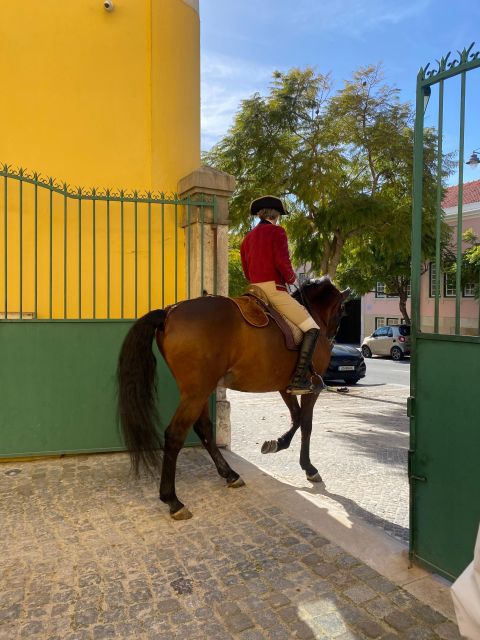 Lisbon: Morning of Equestrian Art with Lusitano Horses - Is $17 a fair price?