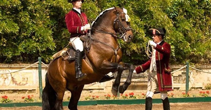 Lisbon: Morning of Equestrian Art with Lusitano Horses - Meeting Lusitano horses in Lisbon