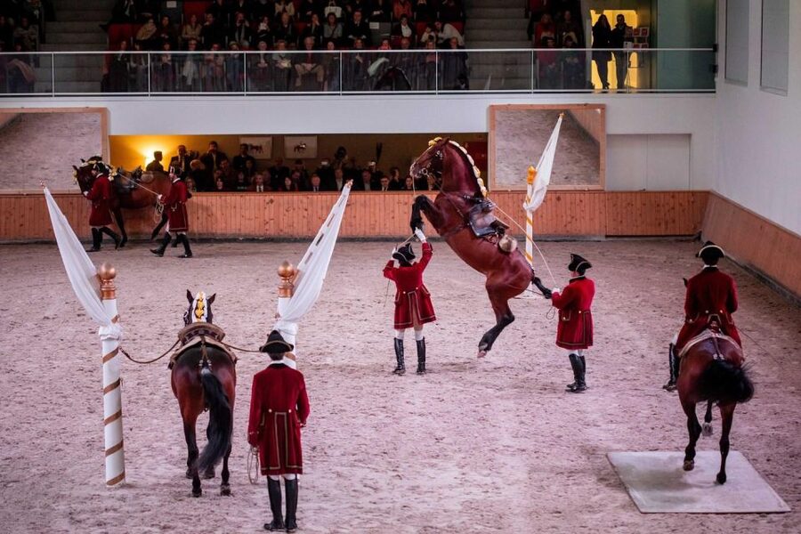 Lisbon: Morning of Equestrian Art with Lusitano Horses - Watching the warm-up from 11 am