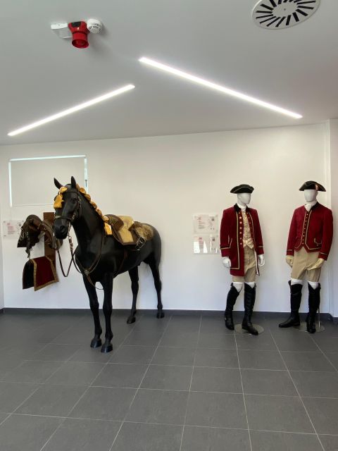Lisbon: Morning of Equestrian Art with Lusitano Horses - Period costumes, music, and classical exercises