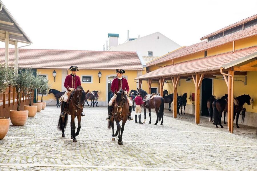 Lisbon: Morning of Equestrian Art with Lusitano Horses - The Henrique Calado Riding Ring and photo limits