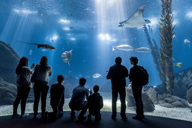 Lisbon Oceanario: Aquarium Entrance Ticket - Key points to know before you go
