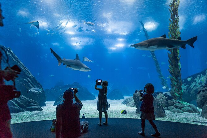 Lisbon Oceanario: Aquarium Entrance Ticket - Entering the 5-million-liter central aquarium