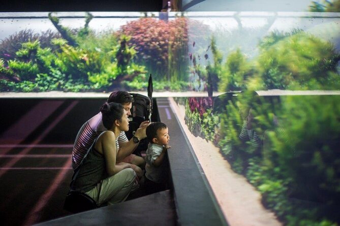 Lisbon Oceanario: Aquarium Entrance Ticket - Is $30.17 good value?