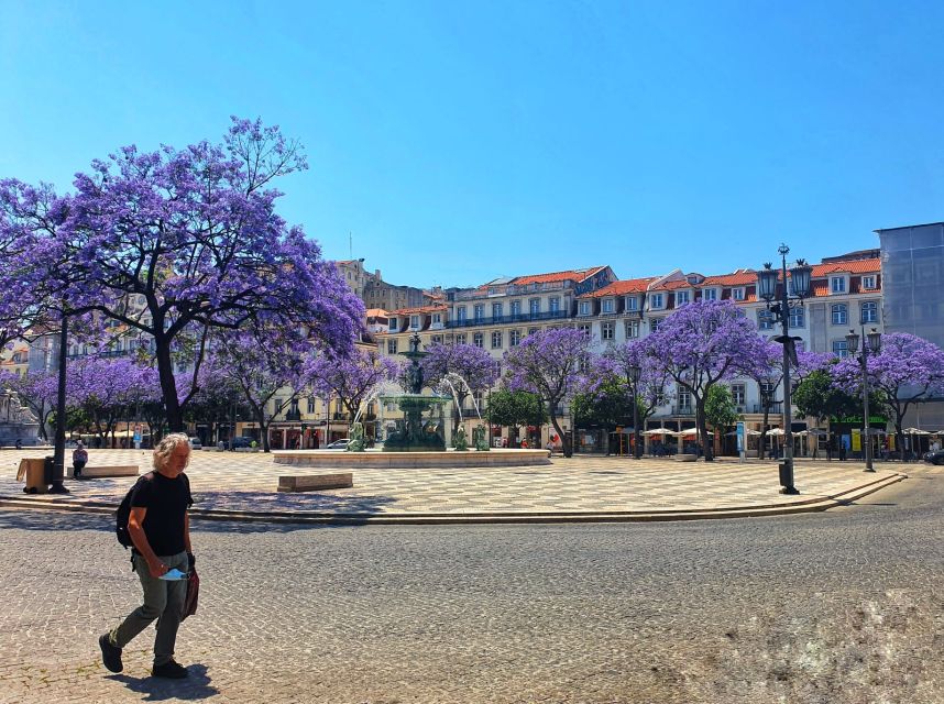 Lisbon: Old Town TukTuk Tour and Scenic Viewpoints in Alfama - What the guides do well