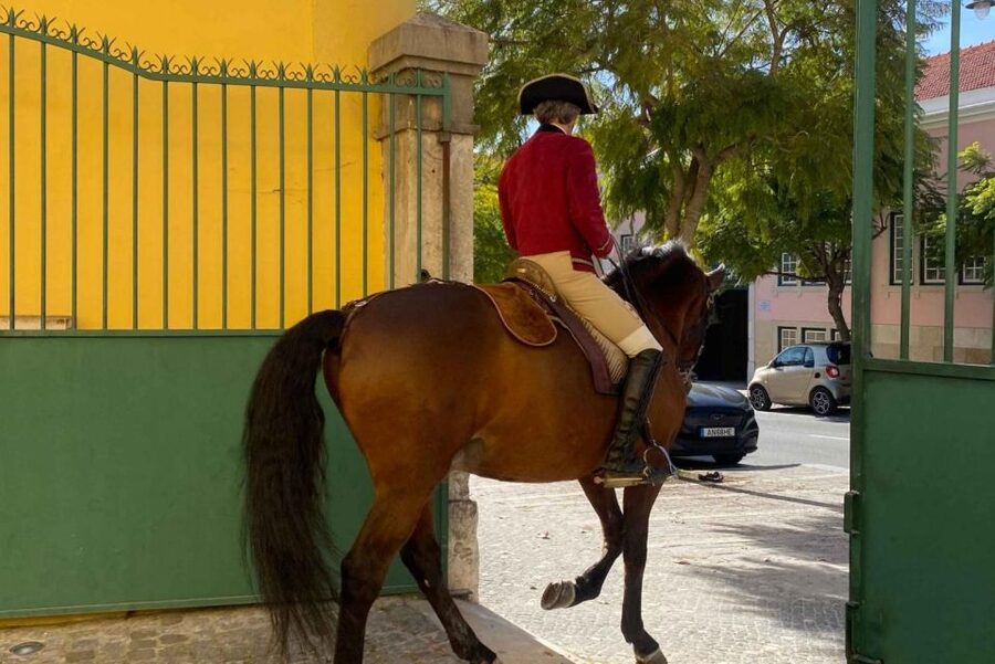 Lisbon: Portuguese Riding School Trainig with Lusitano Horse - Key points to know before you go