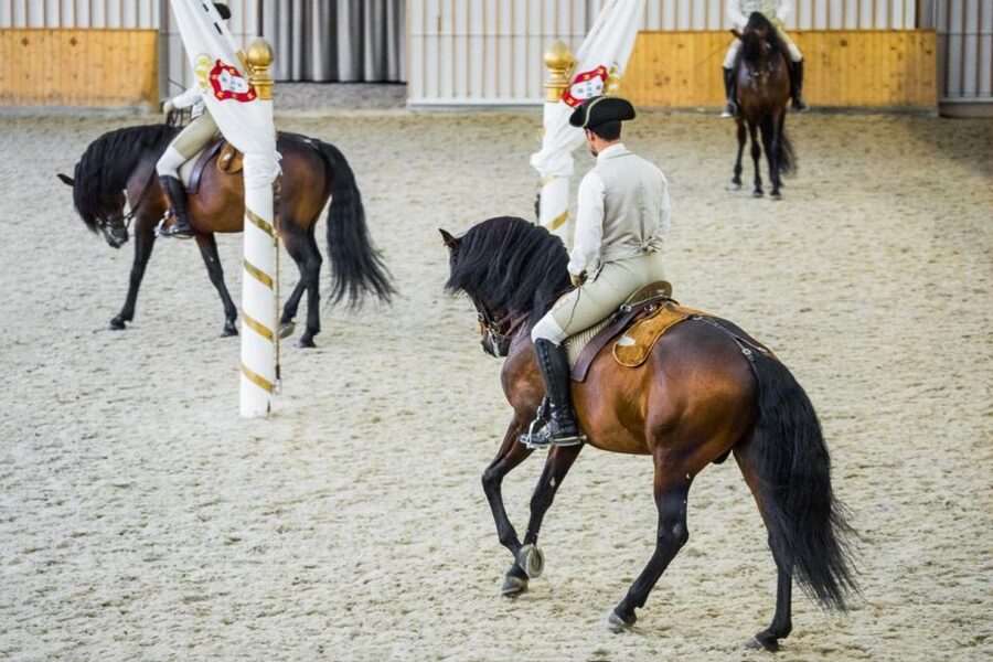 Lisbon: Portuguese Riding School Trainig with Lusitano Horse - Rehearsals in the Nora Patio