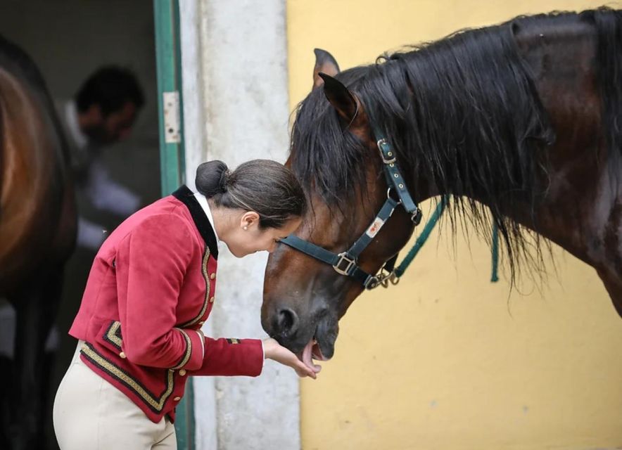 Lisbon: Portuguese Riding School Trainig with Lusitano Horse - Who will enjoy this experience most