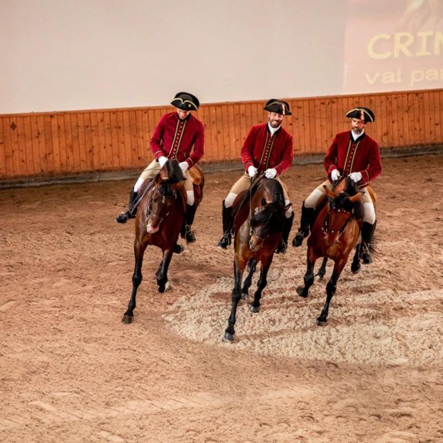 Lisbon: Portuguese Riding School Trainig with Lusitano Horse - Starting among the horses at Henrique Calado Riding Ring