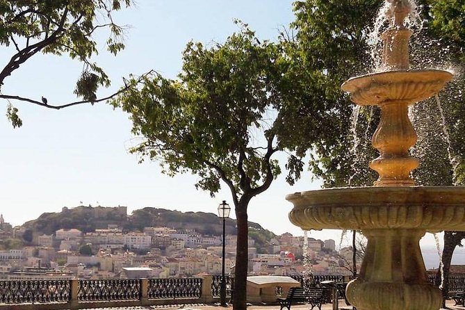 Lisbon Private And Customizable Half-Day Tour - Lisbon Cathedral and Alfama slow the pace