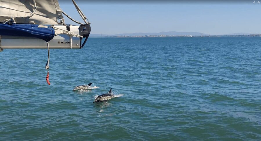 Lisbon: Private Boutique Boat Tour – Sail in Style - Under the 25 de Abril Bridge