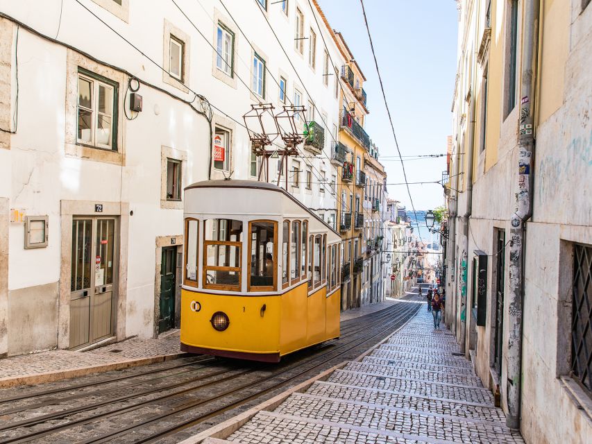 Lisbon: Private Guided Tour by Electric Tuk Tuk - Price, timing, and who gets good value