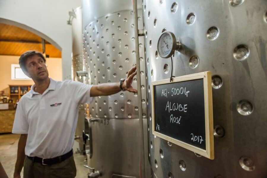Lisbon Private Setúbal Region Wine Tasting Tour - Price, Transport, And What You Actually Receive