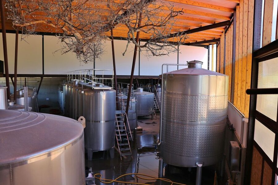 Lisbon Private Setúbal Region Wine Tasting Tour - Arrábida Views And The Road Between Stops
