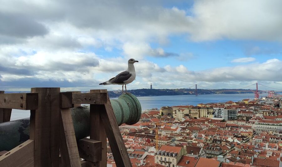 Lisbon: Saint George's Castle Entry Ticket and Guided Visit - Key points to know before you book