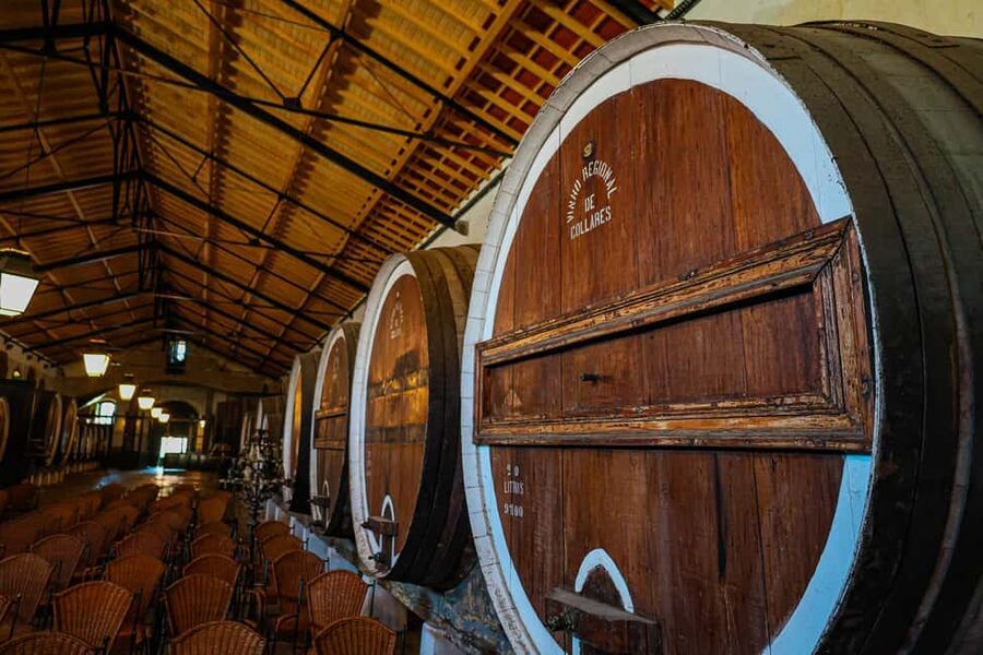 Lisbon: Sintra, Coast and Wine Small-Group Day Tour - What the guides add to the day