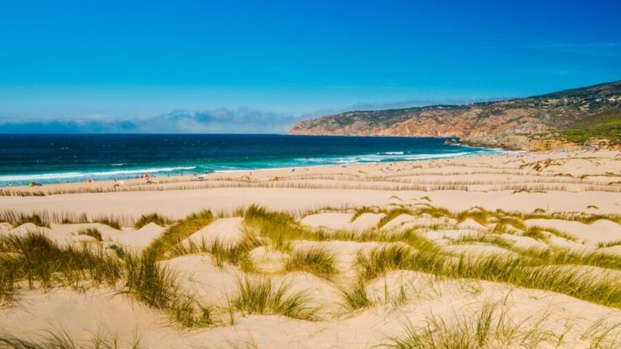Lisbon: Sintra, Pena, Cabo da Roca Coast & Cascais Day Tour - Who should book this Sintra and Cascais tour?