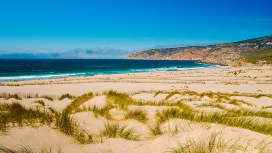 Lisbon: Sintra, Pena Palace, Cabo Roca Coast & Cascais Tour - The guides make the difference