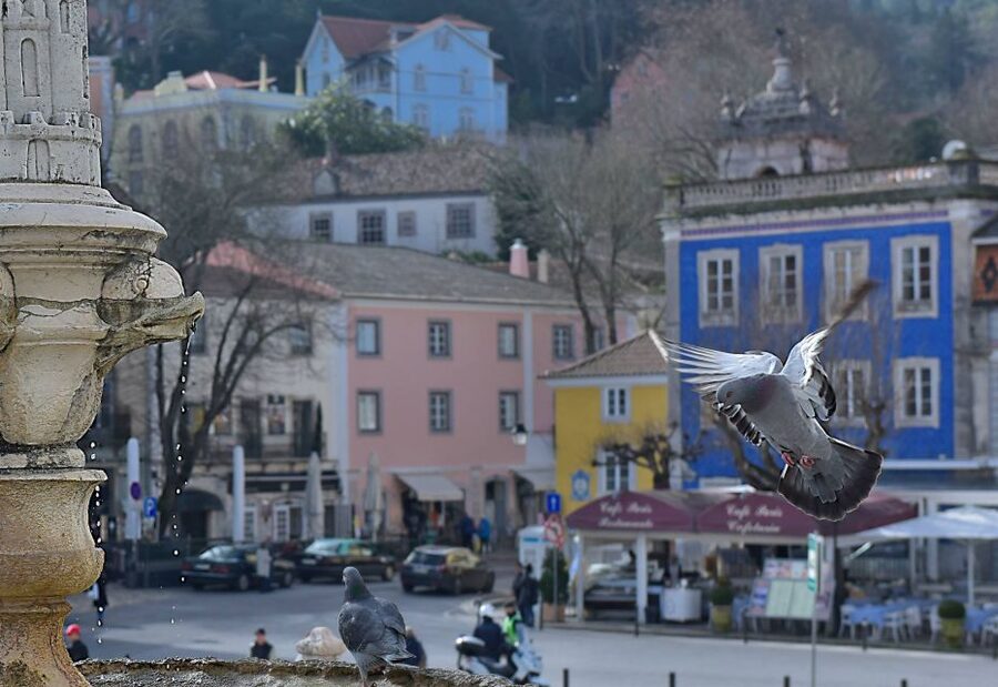 Lisbon: Sintra, Pena Palace, Quinta Regaleira, Cascais Tour - Key points at a glance
