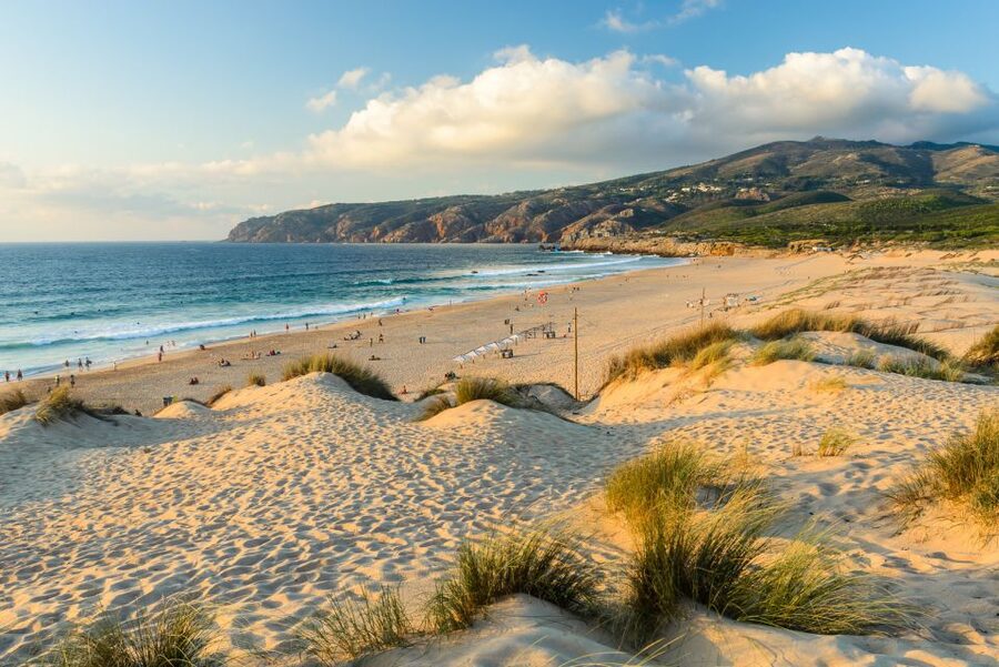 Lisbon: Sintra, Quinta da Regaleira, Cabo da Roca & Cascais - Who will enjoy this tour most?