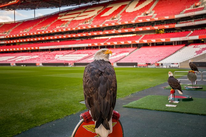 Lisbon SL Benfica Stadium & Museum Tour with Scarf - The official store and the included scarf