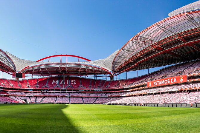 Lisbon SL Benfica Stadium & Museum Tour with Scarf - The eagle encounter and virtual reality segment