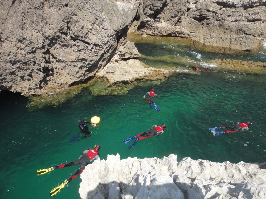 Lisbon: Snorkelling in Sesimbra/Arrábida Natural Park - Is this Sesimbra snorkeling trip worth booking?