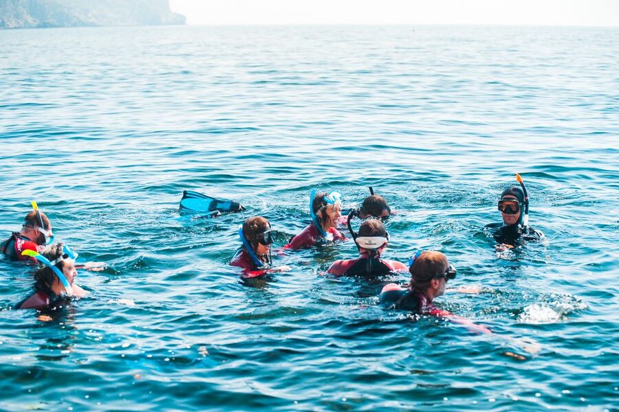 Lisbon: Snorkelling in Sesimbra/Arrábida Natural Park - The guides make the biggest difference