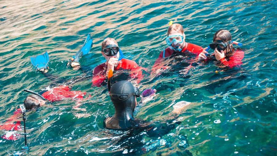 Lisbon: Snorkelling in Sesimbra/Arrábida Natural Park - Booking, cancellation, and language details